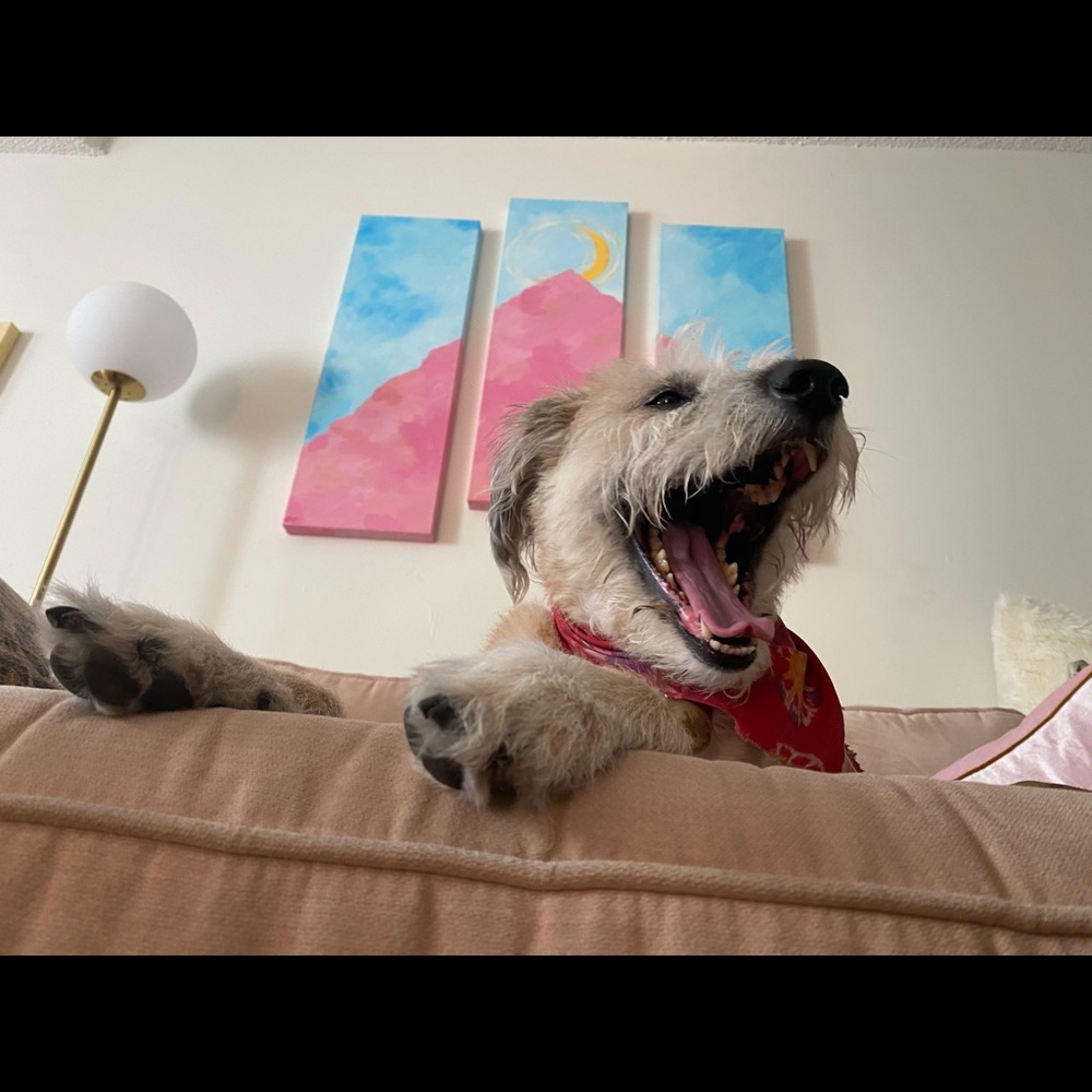 Meet your Posher, Sara